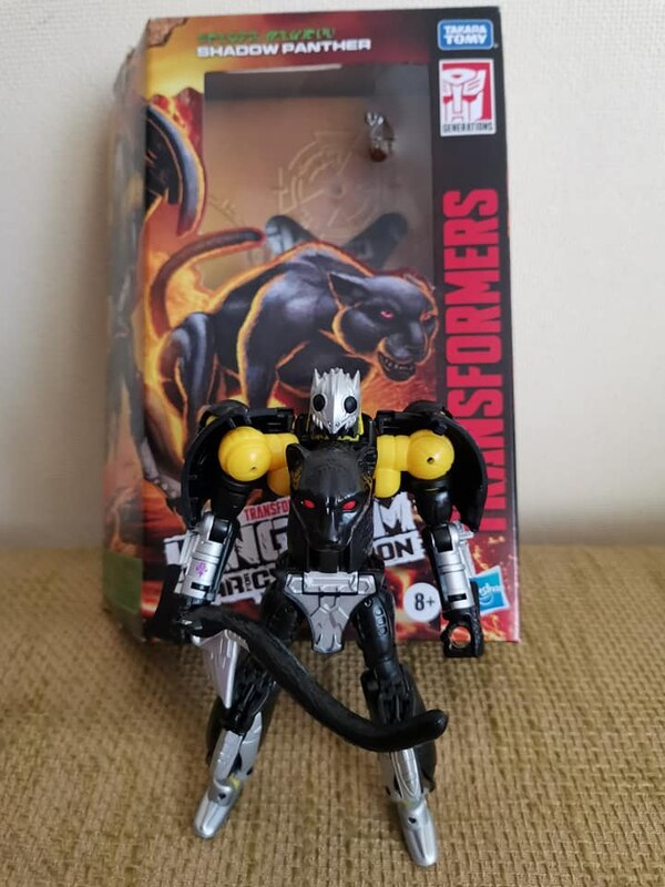 Kingdom Wave 4 Shadow Panther Waspinator Package Images (11  (8 of 9)